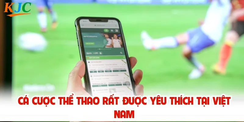 Cá cược thể thao rất được yêu thích tại Việt Nam