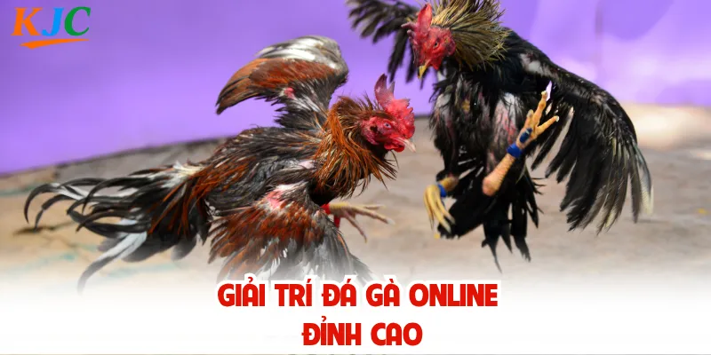 Giải trí đá gà online đỉnh cao